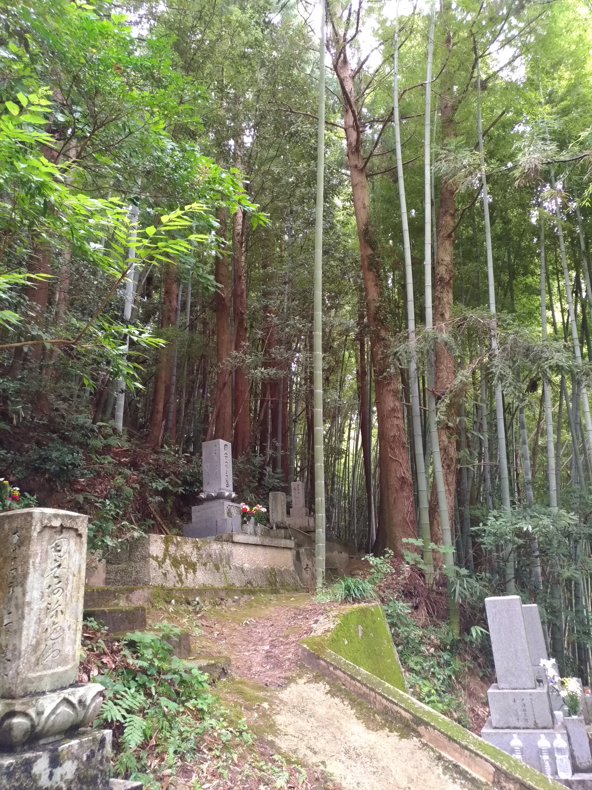 Tombs in a bamboo forest, August 2018.